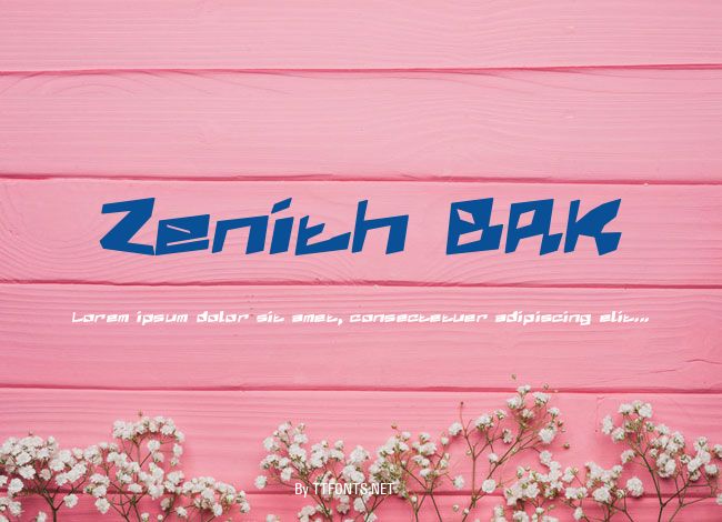 Zenith BRK example